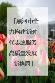 黑河市全力构建新时代志愿服务高质量发展新格局